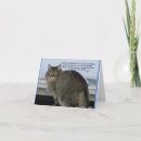 Search for cat on a bed postcards For pets