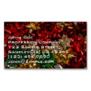 Search for presented business cards Bow