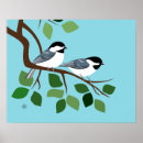 Search for capped chickadee posters Songbirds