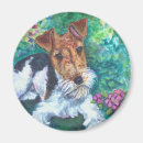 Search for wire magnets Dog