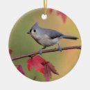 Search for tufts christmas tree decorations Titmouse