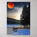 Search for arctic wolf posters Wolf and snow
