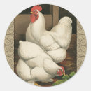 Search for rooster and hens stickers Farm
