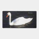 Search for mute swan electronics Nature