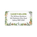 Search for jungle labels Dinosaur