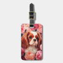 Search for blenheim accessories Cavalier king charles spaniel