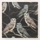 Search for owl coasters Background