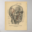 Search for facial posters Face