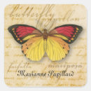 Search for farfalla Insect