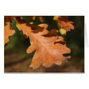 Search for oak leaves cards Autumn