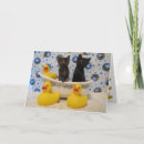 Search for black cat get well cards Kitten