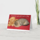 Search for bear get well cards Friend