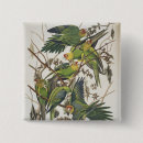 Search for john audubon badges 1829