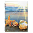 Search for beach shells notebooks Starfish