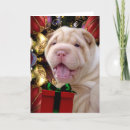Search for shar pei christmas cards Chinese