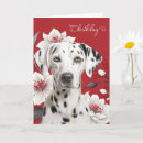 Search for dalmatian birthday cards Pets