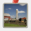 Search for farm animal christmas tree decorations Red