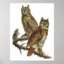 Search for great grey owl art Audubon