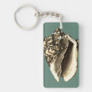 Search for conch shell key rings Shells