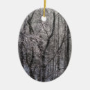 Search for freezing christmas tree decorations Ice