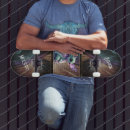 Search for dragon skateboards Colorful