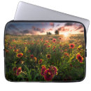 Search for orange laptop cases Nature