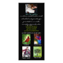 Search for pics rack cards Photos