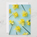 Search for daffodil thank you cards Nature