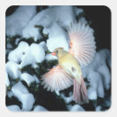 Search for female cardinal stickers Wildlife