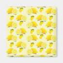 Search for lemon magnets Summer