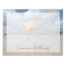 Search for flamingo notepads Beach
