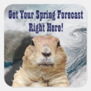 Search for funny spring stickers Groundhog
