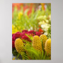 Search for fruit and vegetables posters Red