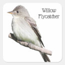 Search for songbird stickers Nature