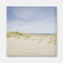 Search for cape cod magnets Usa
