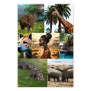 Search for rhinoceros paintings posters African