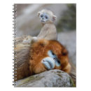 Search for cute monkey notebooks Baby animals
