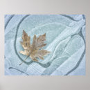 Search for maple leaves posters Winter
