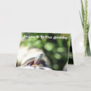 Search for funny turtles postcards Green