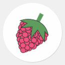 Search for cute raspberry stickers Pink