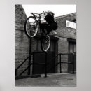 Search for stunts art Sport