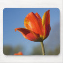 Search for growth mousepads Vertical
