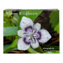 Search for western calendars California