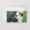 Search for funny cats note cards Animals