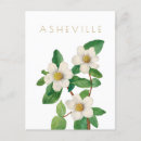 Search for north carolina state postcards Asheville