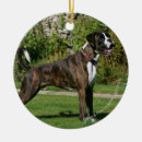 Search for brindle boxer dog christmas tree decorations Standing