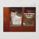 Search for dropping postcards Humour