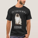 Search for birman cat Pets