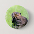 Search for beaver badges Cute