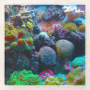 Search for bright colour coasters Multi coloured